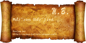 Mózes Bálint névjegykártya